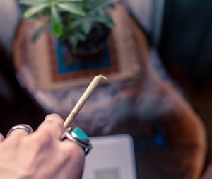 Pre-Roll Pack