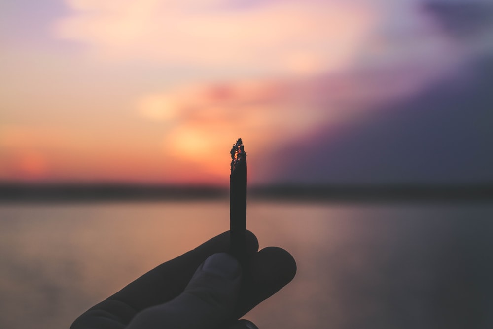 person holding lighted cigarette stick during sunset