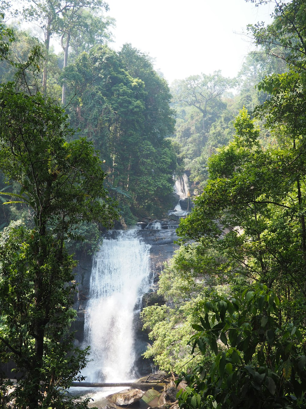 waterfalls in the middle of green trees