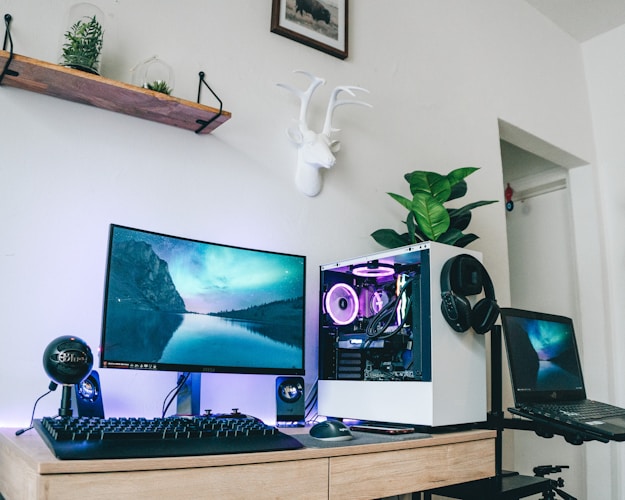 TN gaming monitor