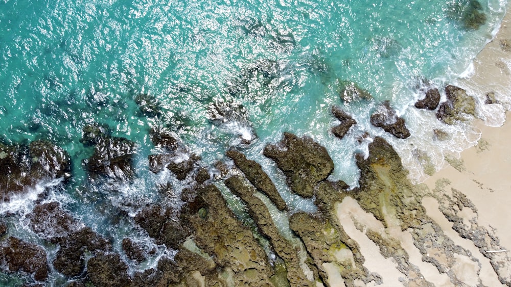 aerial view of body of water during daytime