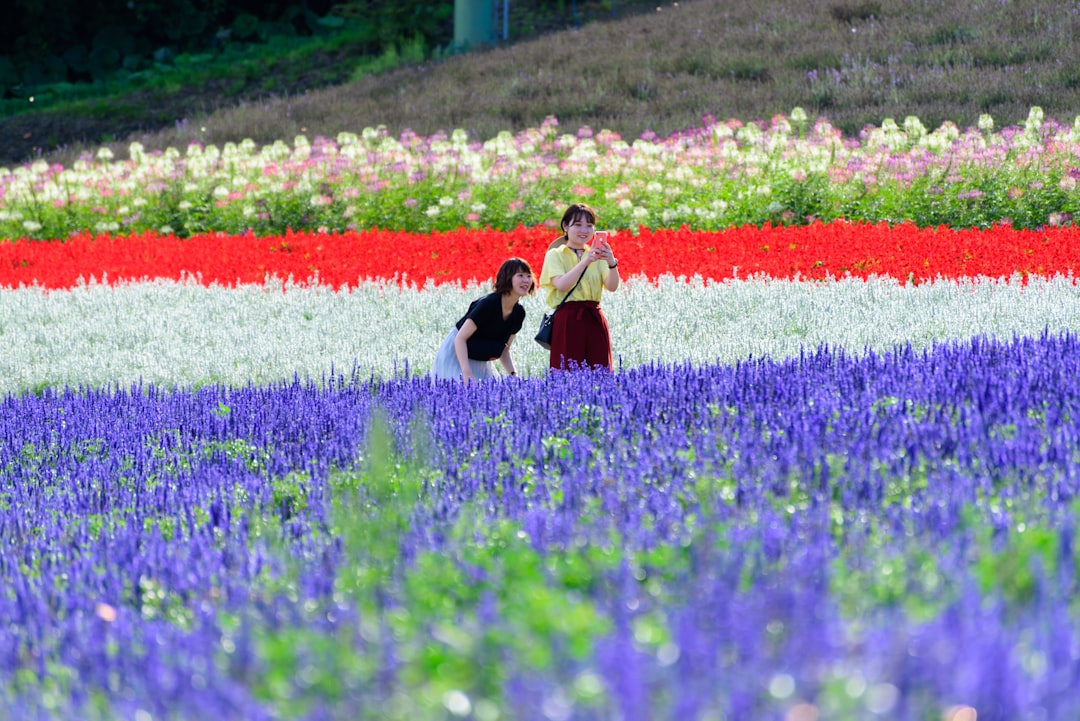 2 women in black dress on purple flower field during daytime