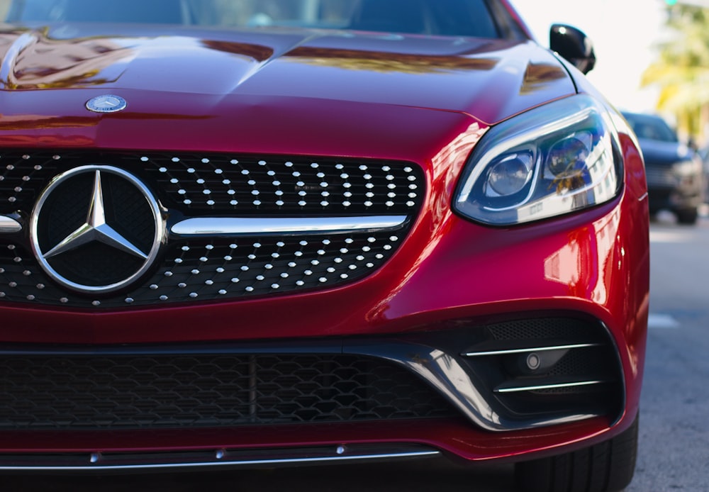 red mercedes benz car with black and white cat