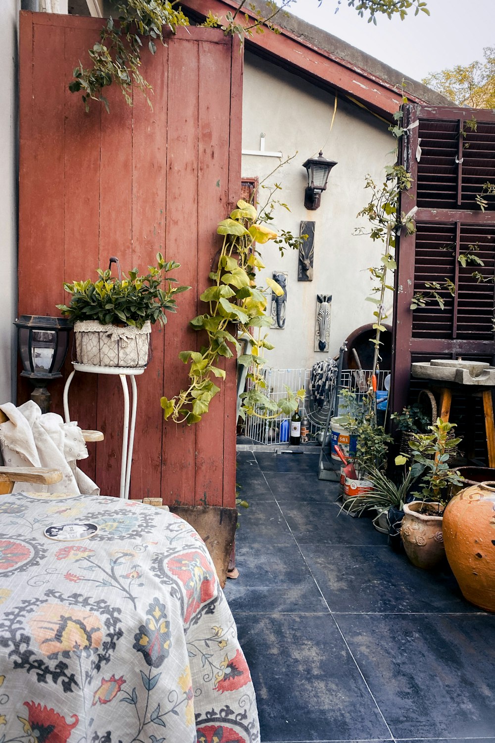 green potted plants on brown wooden table