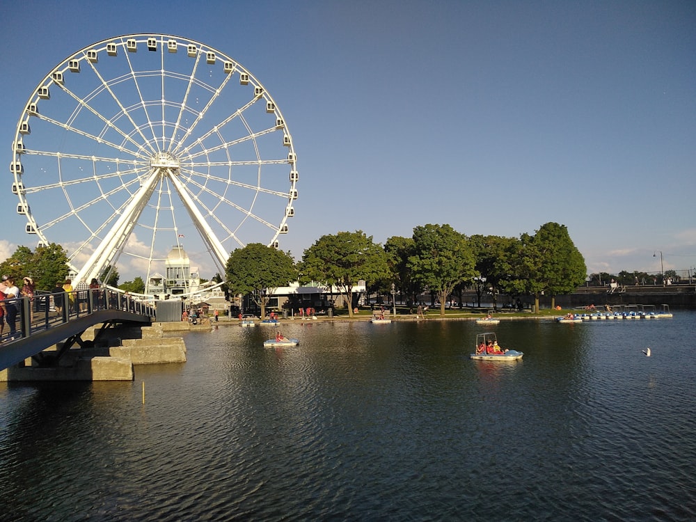 people walking on park near body of water during daytime