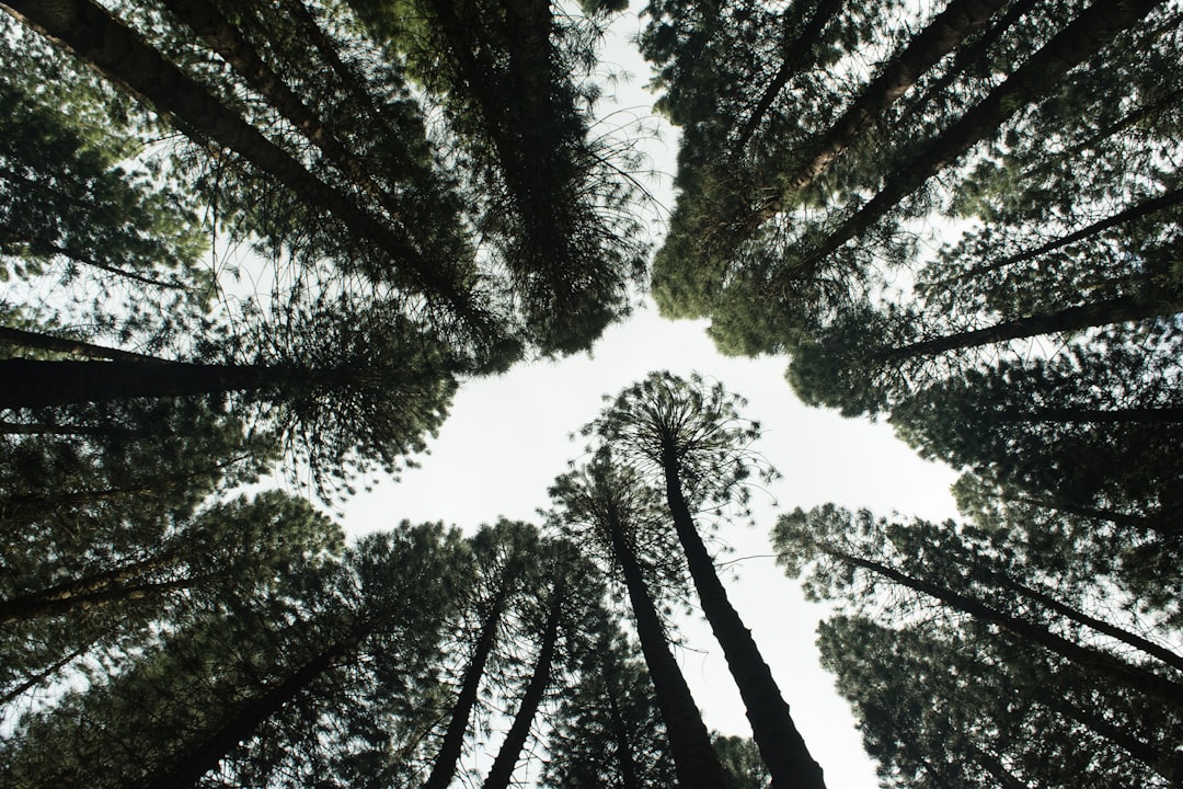Go Green and Make New Friends: Eco-Conscious Group Travel Trends fo… — Go Green and Make New Friends