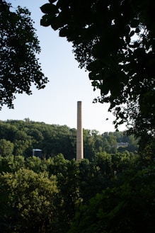 green trees under white sky during daytime