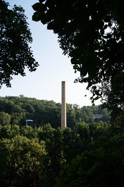 green trees under white sky during daytime