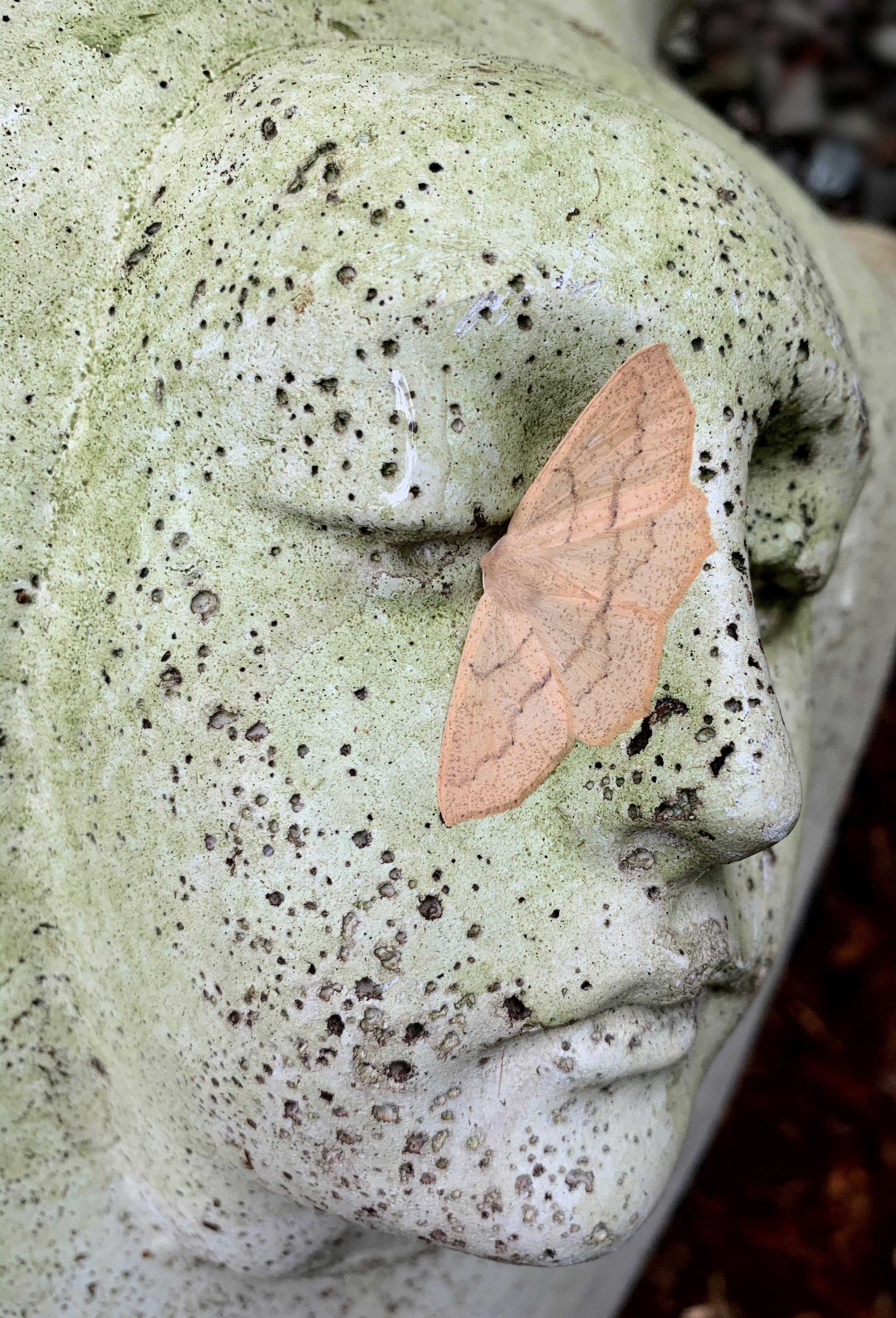 The Problem-First Approach: Why Solution-Seeking Beats Topic-Studying