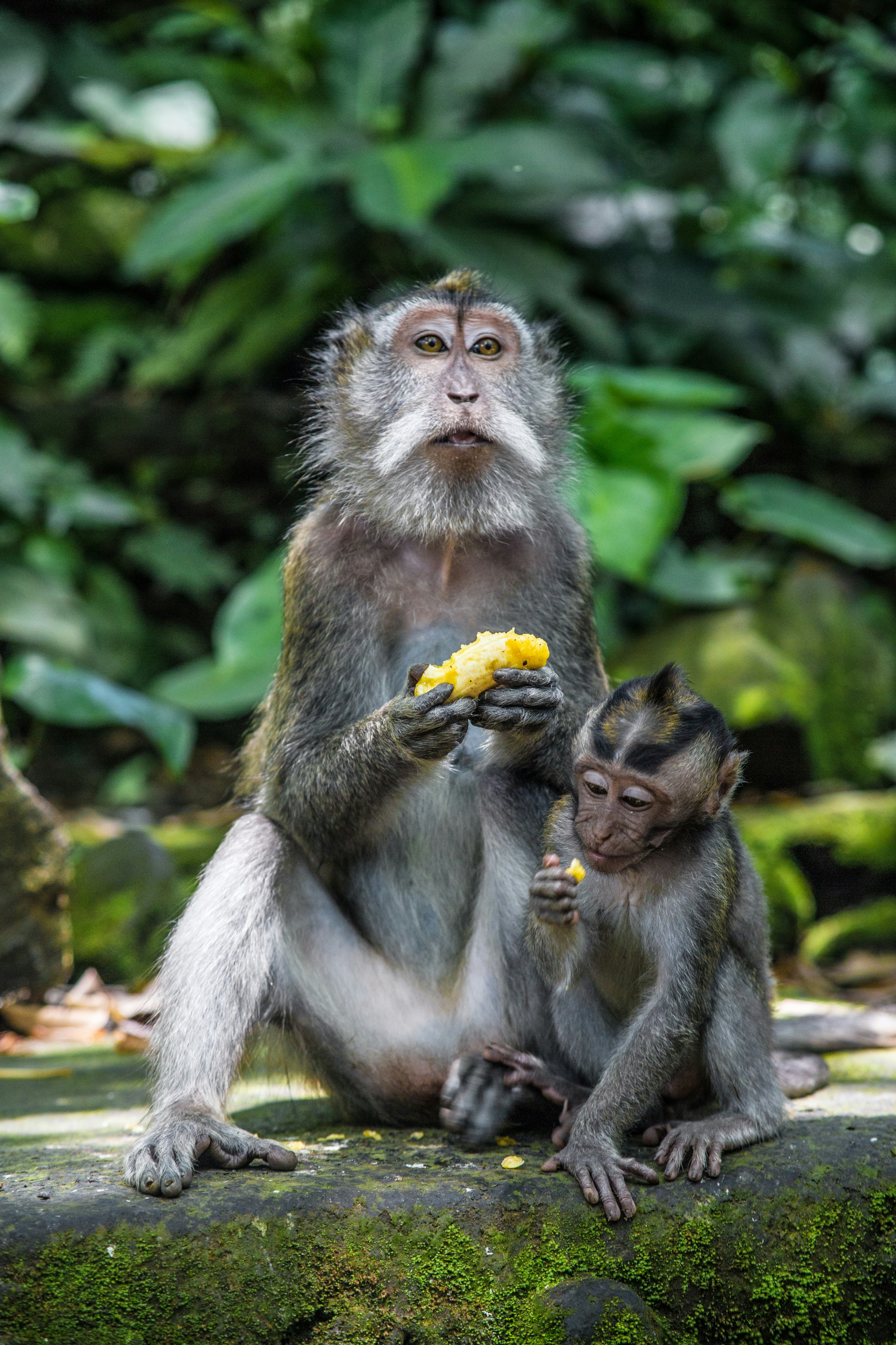 Bali Tour summer holiday's image