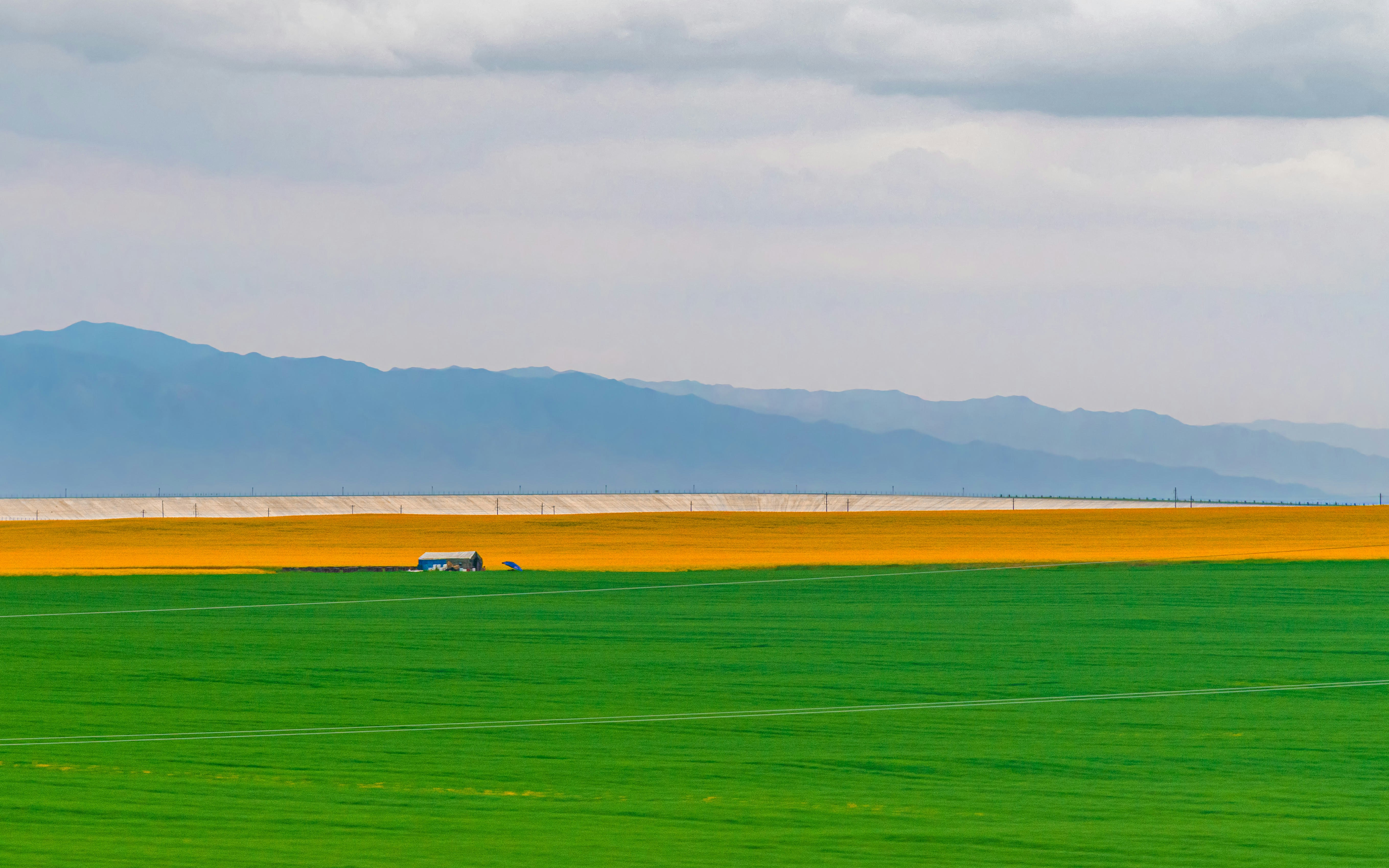 green grass field under white clouds during daytime