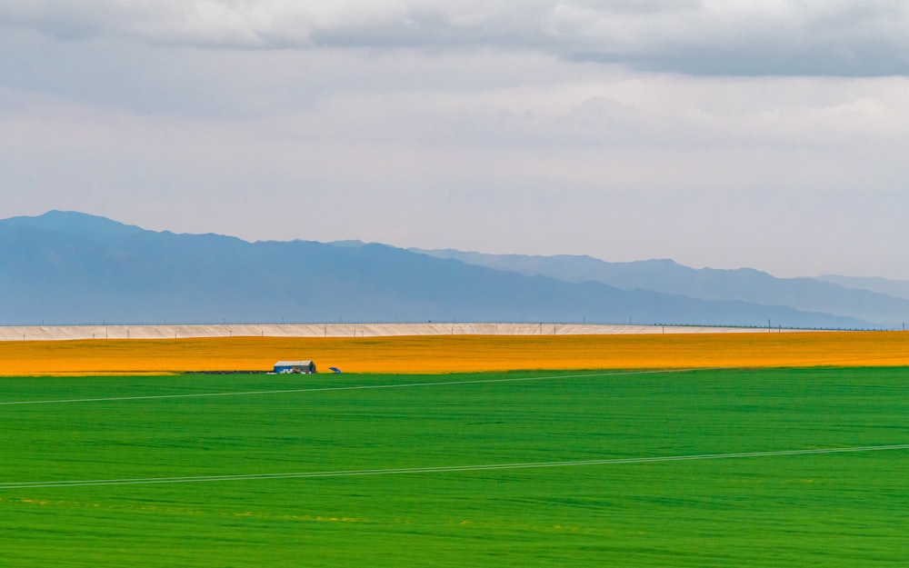 campo de hierba verde bajo nubes blancas durante el día