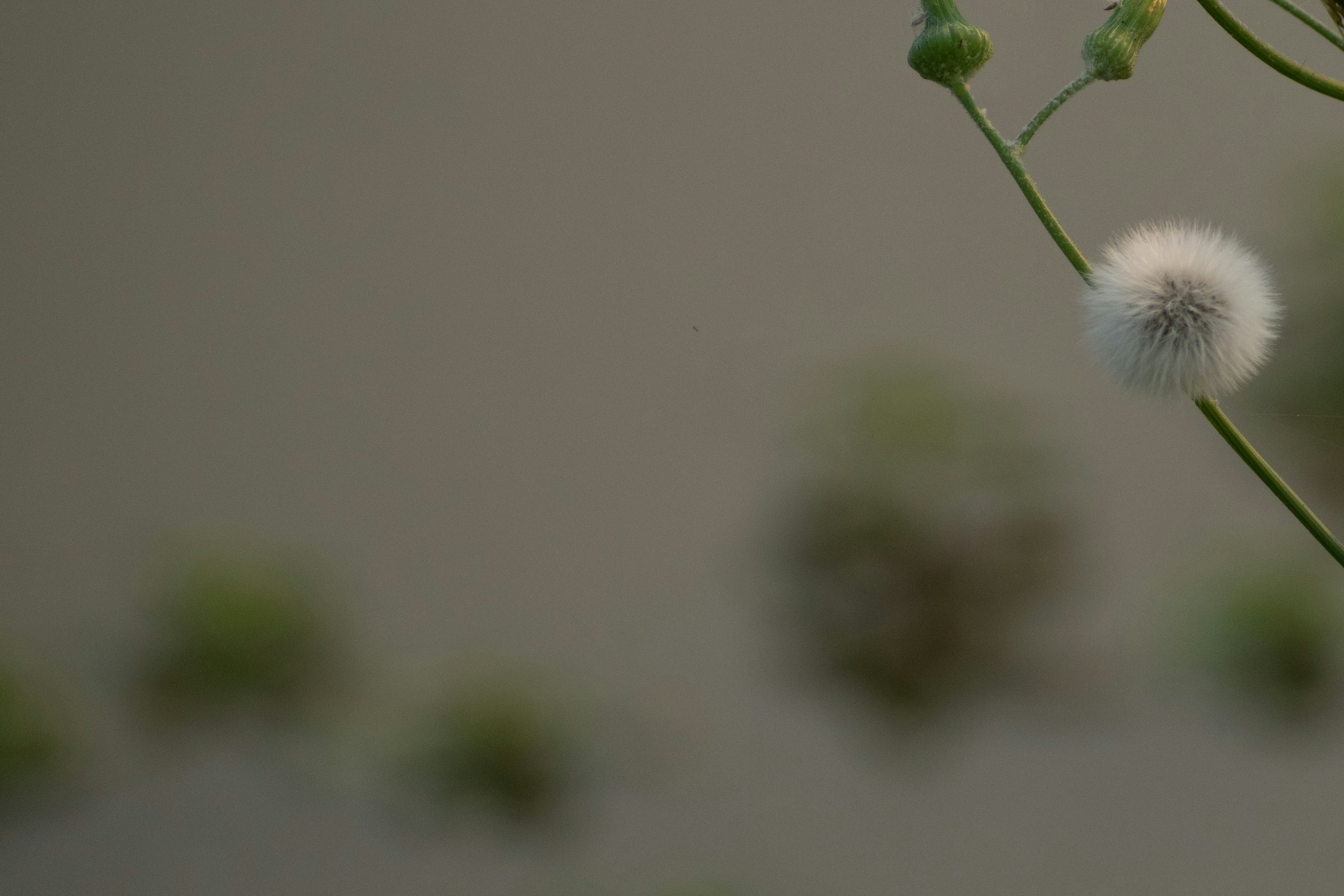 Photo by elisastonephotography