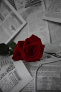 A vibrant red rose is placed on a backdrop of scattered newspapers, creating a striking contrast between the colorful flower and the monochrome background. The petals of the rose are detailed and rich in texture, while the newspapers feature various articles and advertisements in black and white.