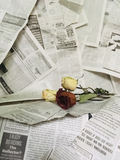 A collection of newspapers spread out, featuring various text and advertisements. On top of the newspapers, there are three dried roses, each with different colors, placed diagonally.