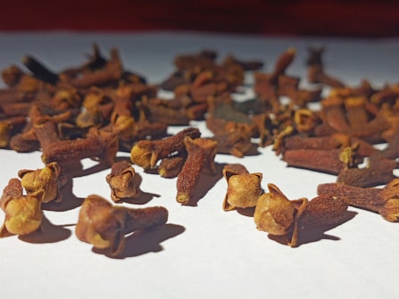 A close-up view of several dried cloves scattered across a white surface. The cloves are dark brown with a somewhat glossy texture, showing their characteristic nail-like shape with spherical tops.