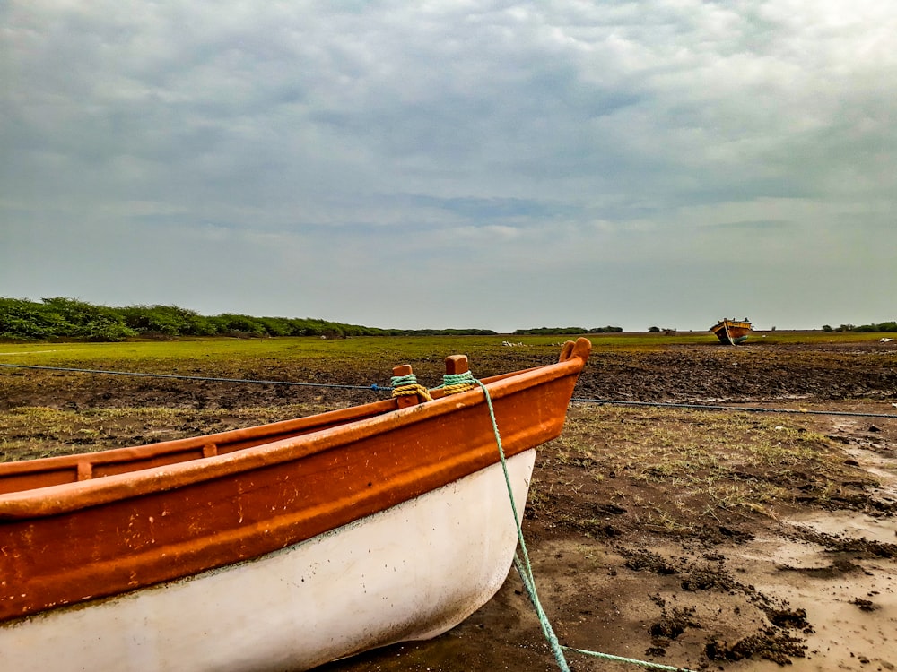 white and brown boat on brown sand during daytime