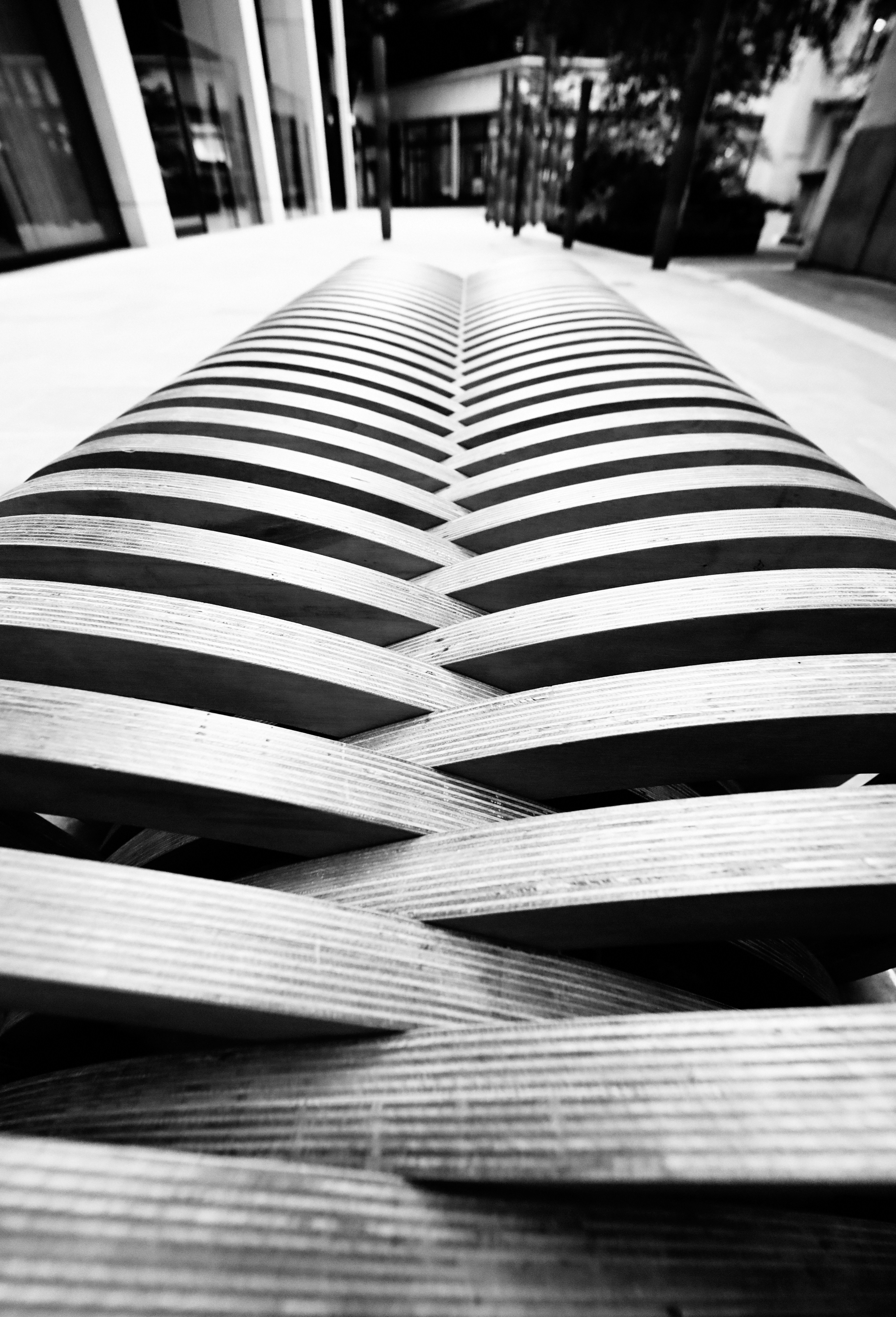 Photo by grievek1610begur