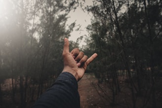 Close-up of hands signing a forward contract with forest imagery.