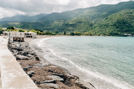 green trees near body of water during daytime in Sapri Italy