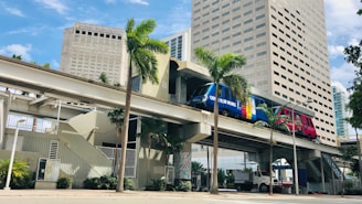 white concrete building near green palm tree during daytime