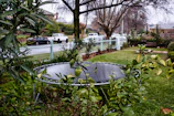 An elegant in-ground trampoline installed in a lush backyard.