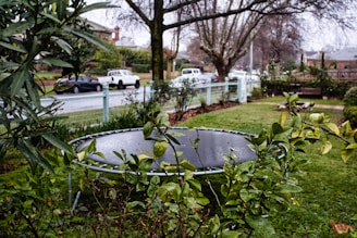A backyard scene featuring a trampoline amidst lush green vegetation and trees. The foreground displays wet leaves, hinting at recent rain. Beyond the garden, a street with parked cars and more trees is visible, showcasing a suburban neighborhood environment on a gloomy day.