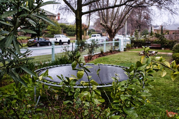 A backyard scene featuring a trampoline amidst lush green vegetation and trees. The foreground displays wet leaves, hinting at recent rain. Beyond the garden, a street with parked cars and more trees is visible, showcasing a suburban neighborhood environment on a gloomy day.