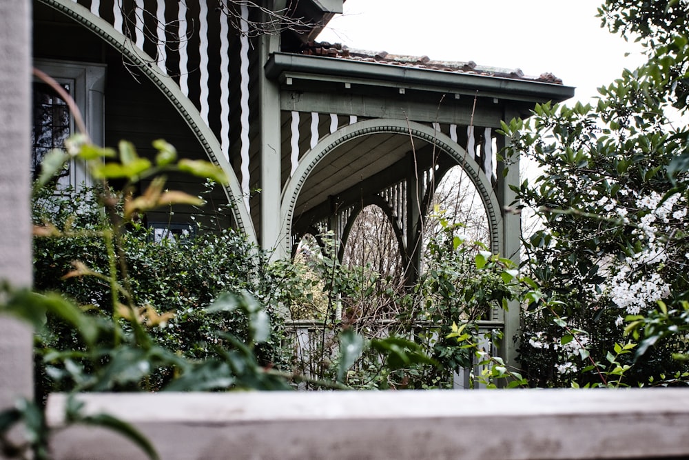 green plants near gray concrete bridge during daytime