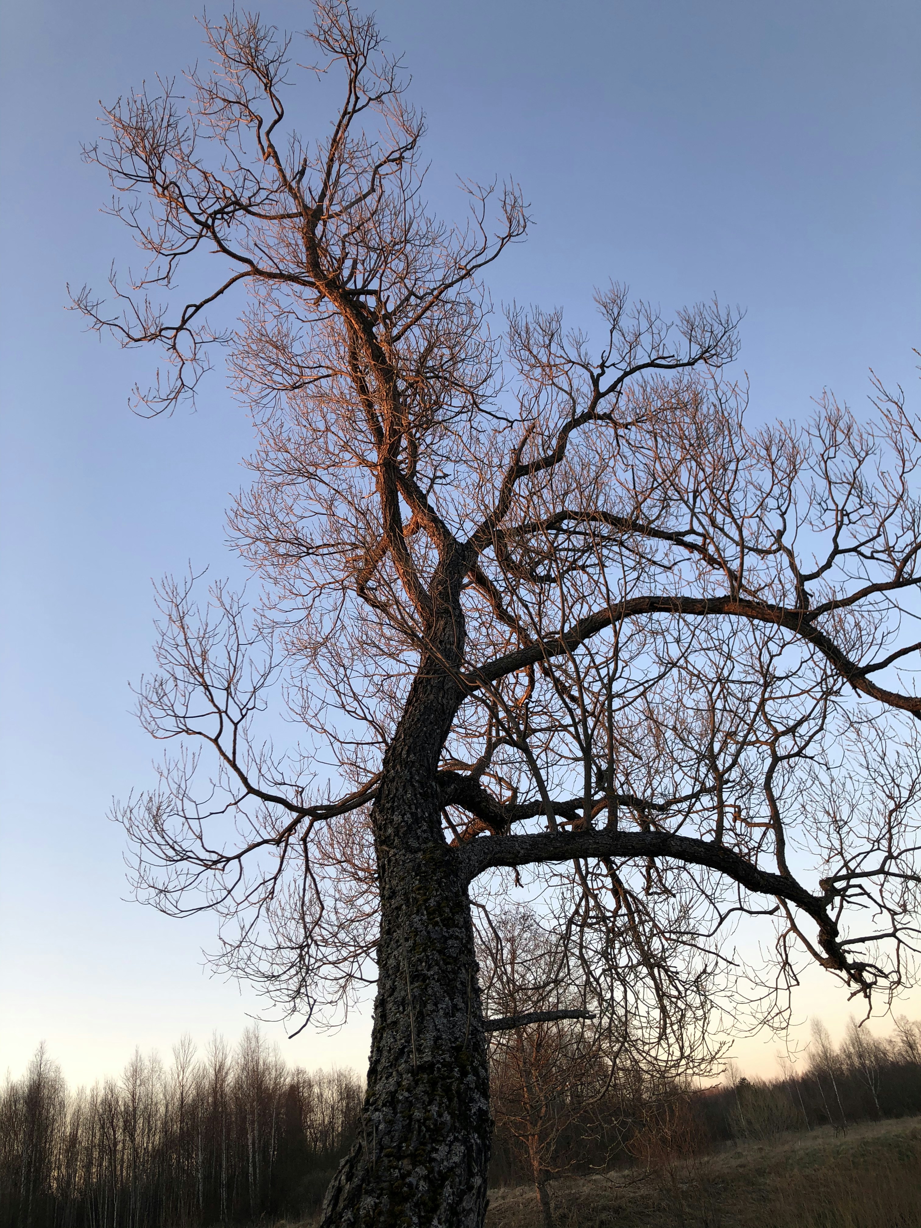 Photo by alexandra_3