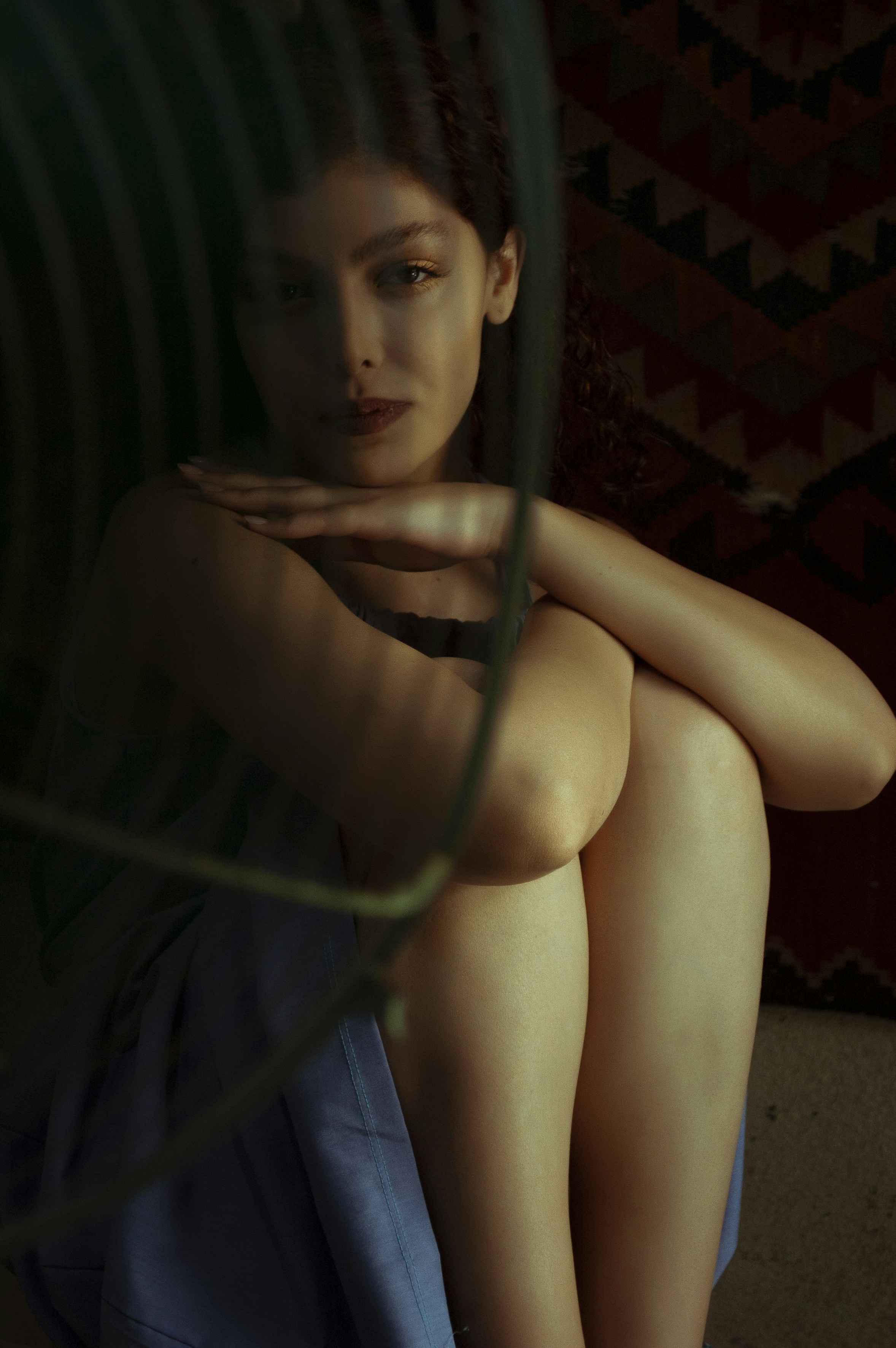 Photo by baranlotfollahi