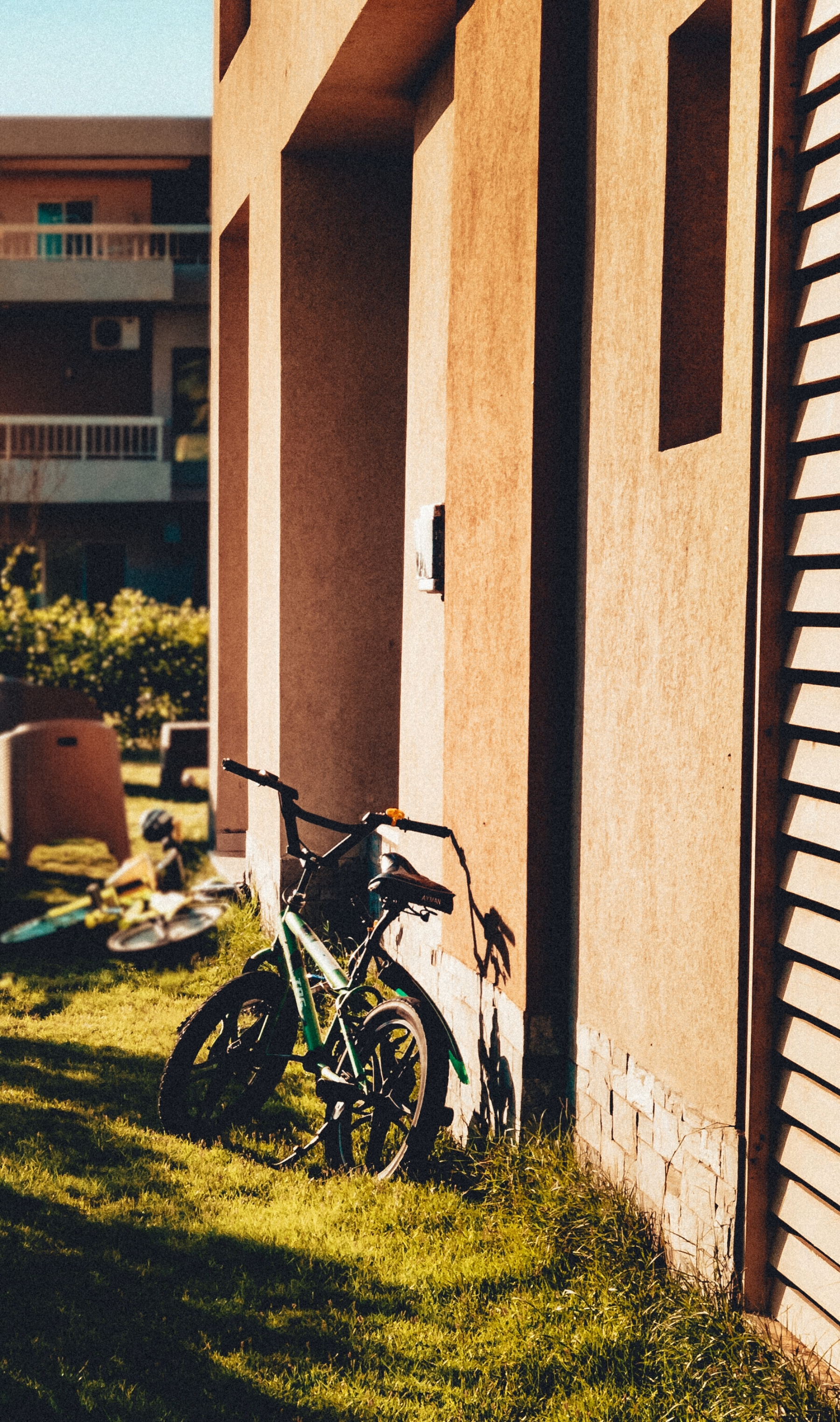 Photo by mostafatarek18