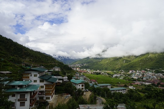 houses on green grass field under white clouds during daytime in Thimphu Bhutan