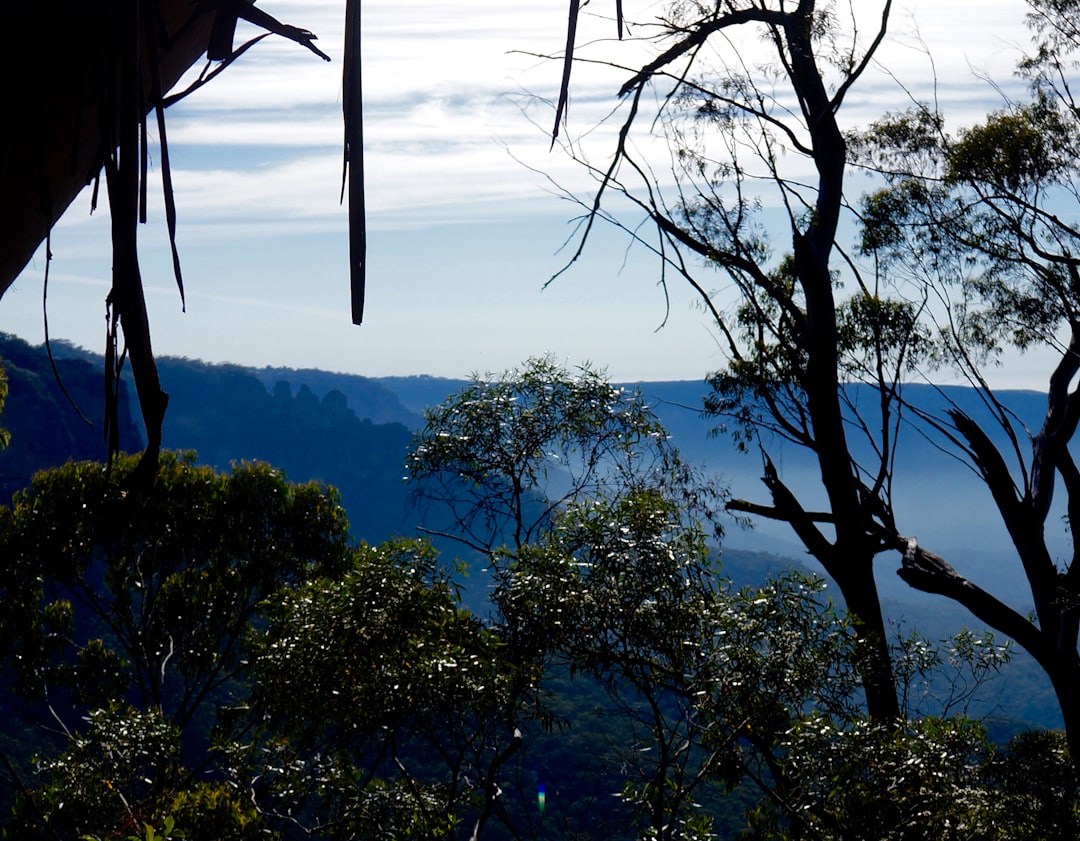 Nature reserve photo spot Blue Mountains Annangrove NSW