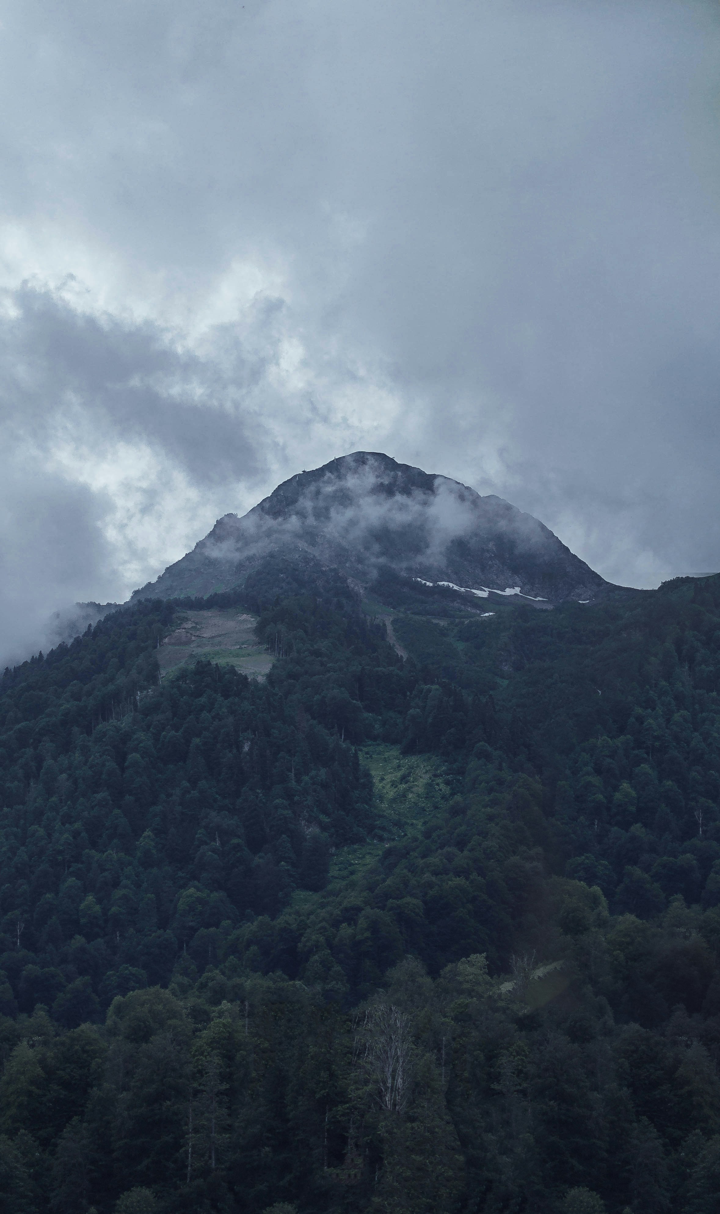 green trees on mountain under white clouds during daytime