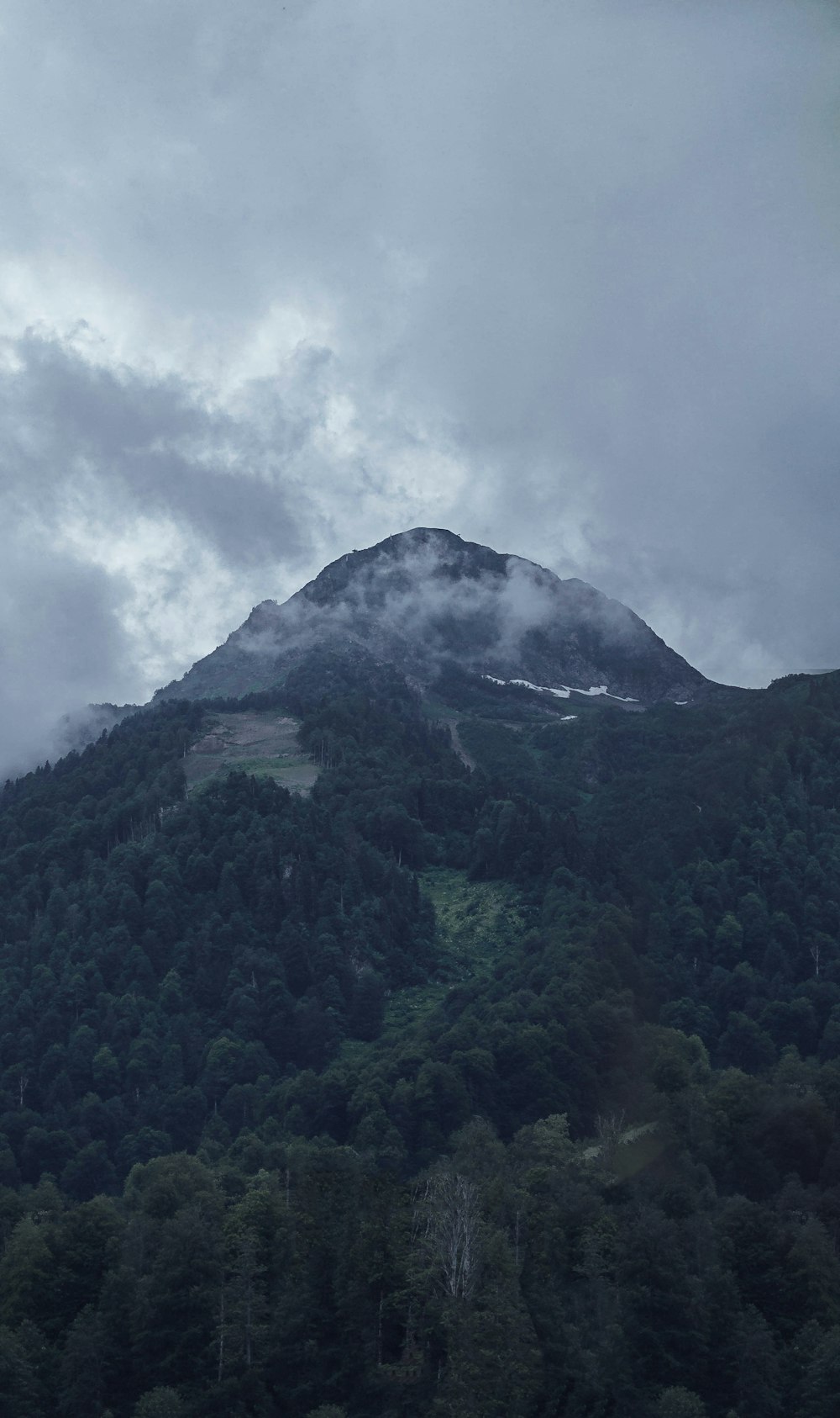 green trees on mountain under white clouds during daytime