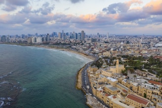 aerial view of city buildings near sea during daytime