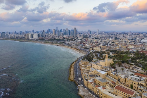 aerial view of city buildings near sea during daytime