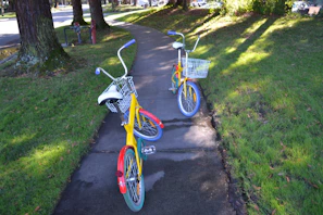 A vibrant tandem bike parked on a sunny trail surrounded by lush greenery.