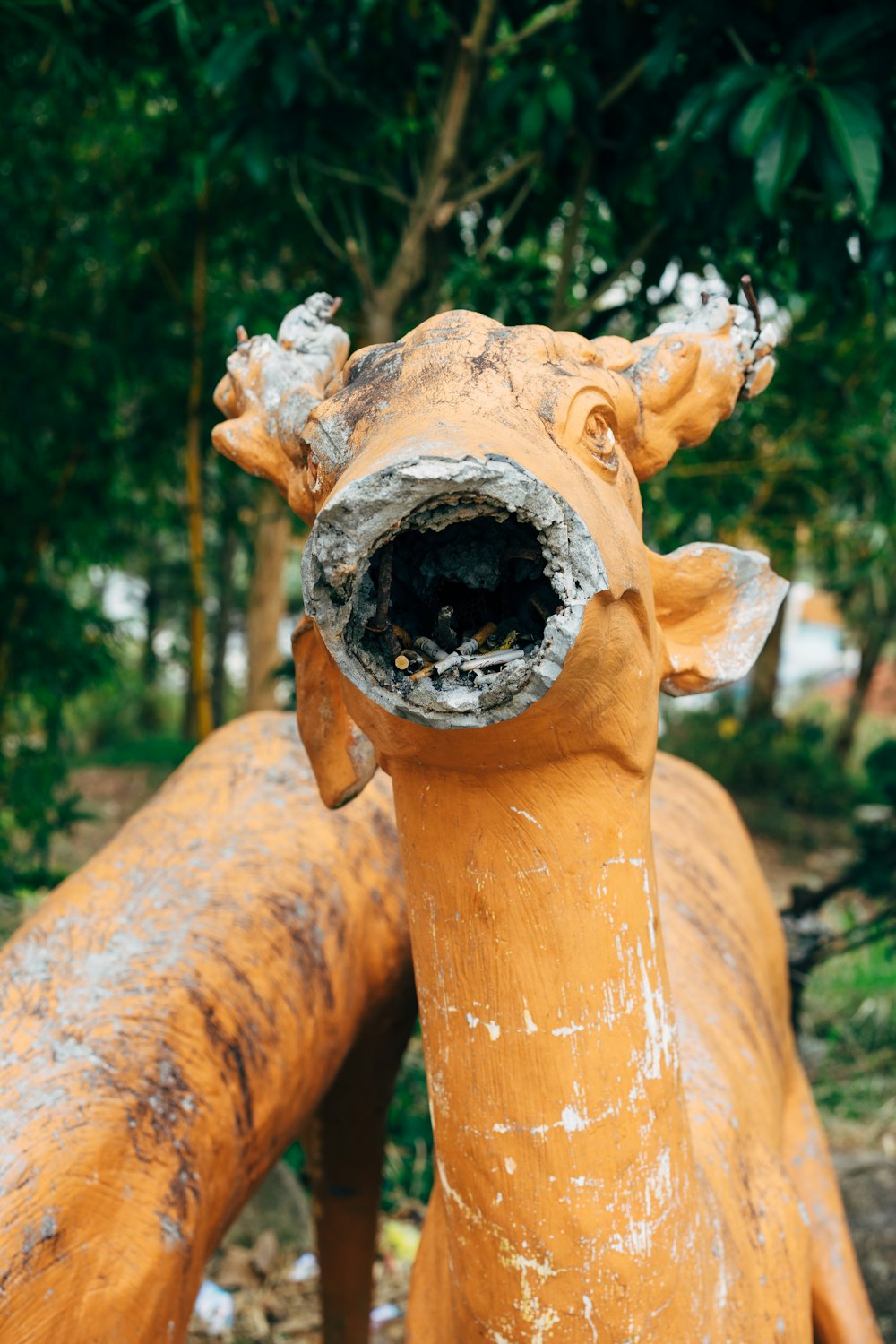 Tronco de árbol marrón con agujero