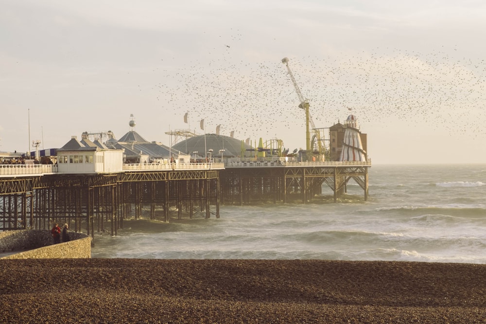 brown wooden dock on sea during daytime