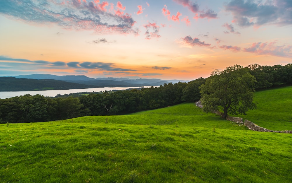 green grass field near body of water under cloudy sky during daytime