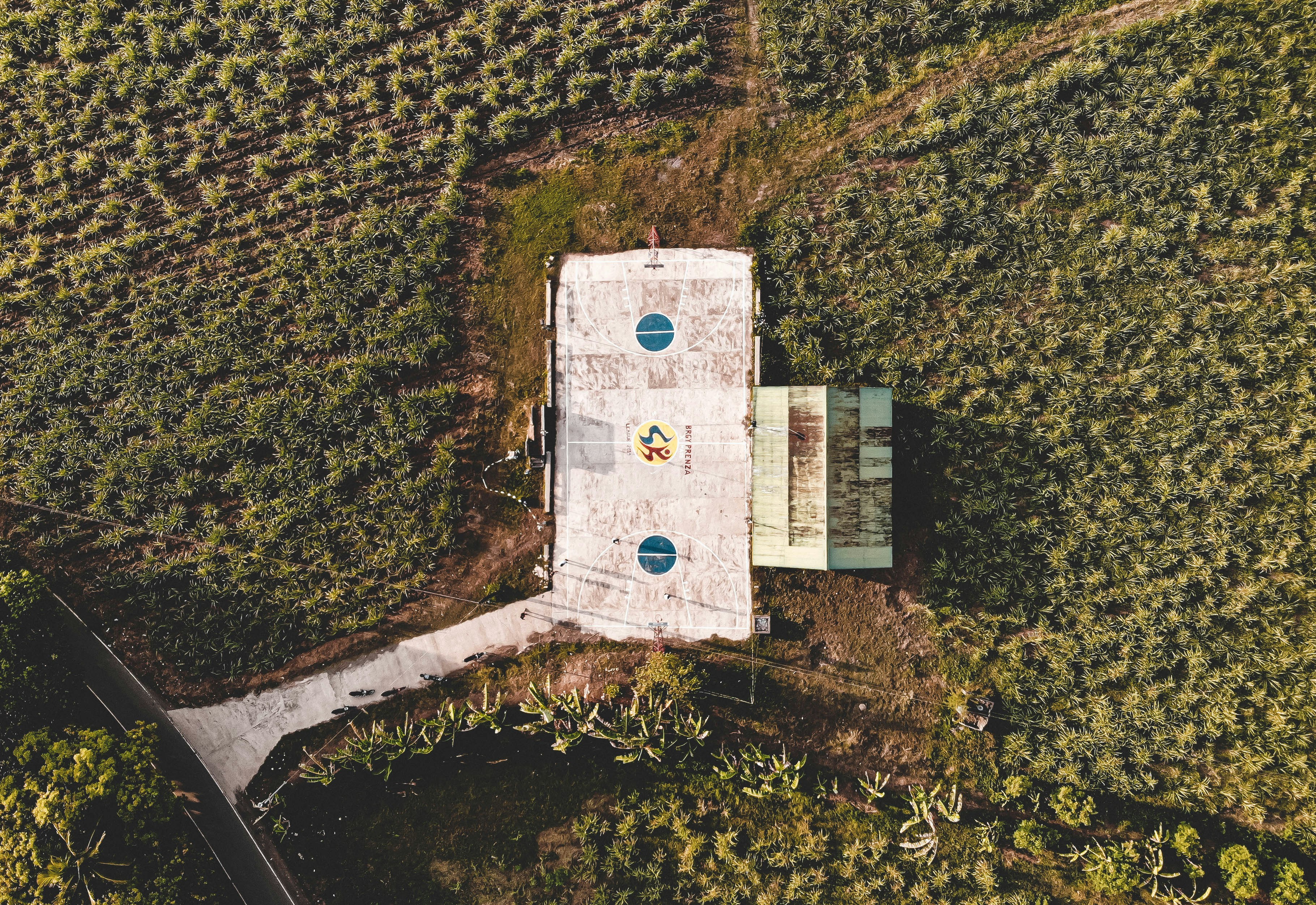 Picture taken in a province where we came across a basketball court in the middle of the fields.