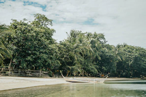 Traditional Maldivian dhoni boat sailing gently across calm ocean waters with a backdrop of palm trees