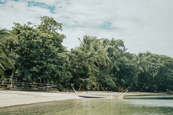 Traditional wooden boat anchored near a quiet cove surrounded by jungle on Sumba.