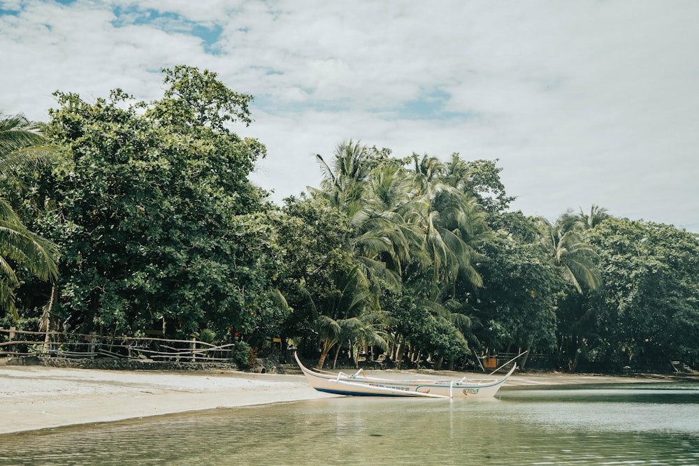 white boat on body of water near green trees during daytime