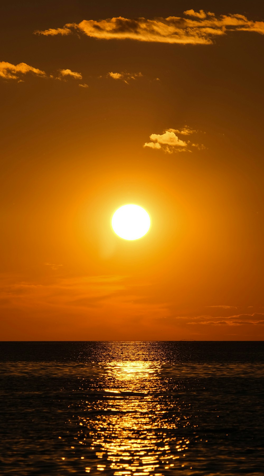 body of water during sunset