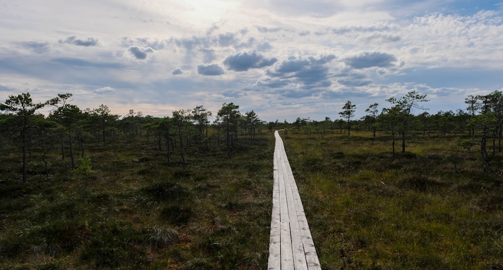 campo de hierba verde bajo el cielo nublado durante el día