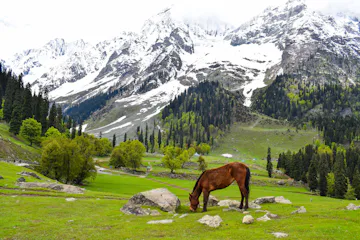 Jannat-e-Kashmir Backpacking Trip