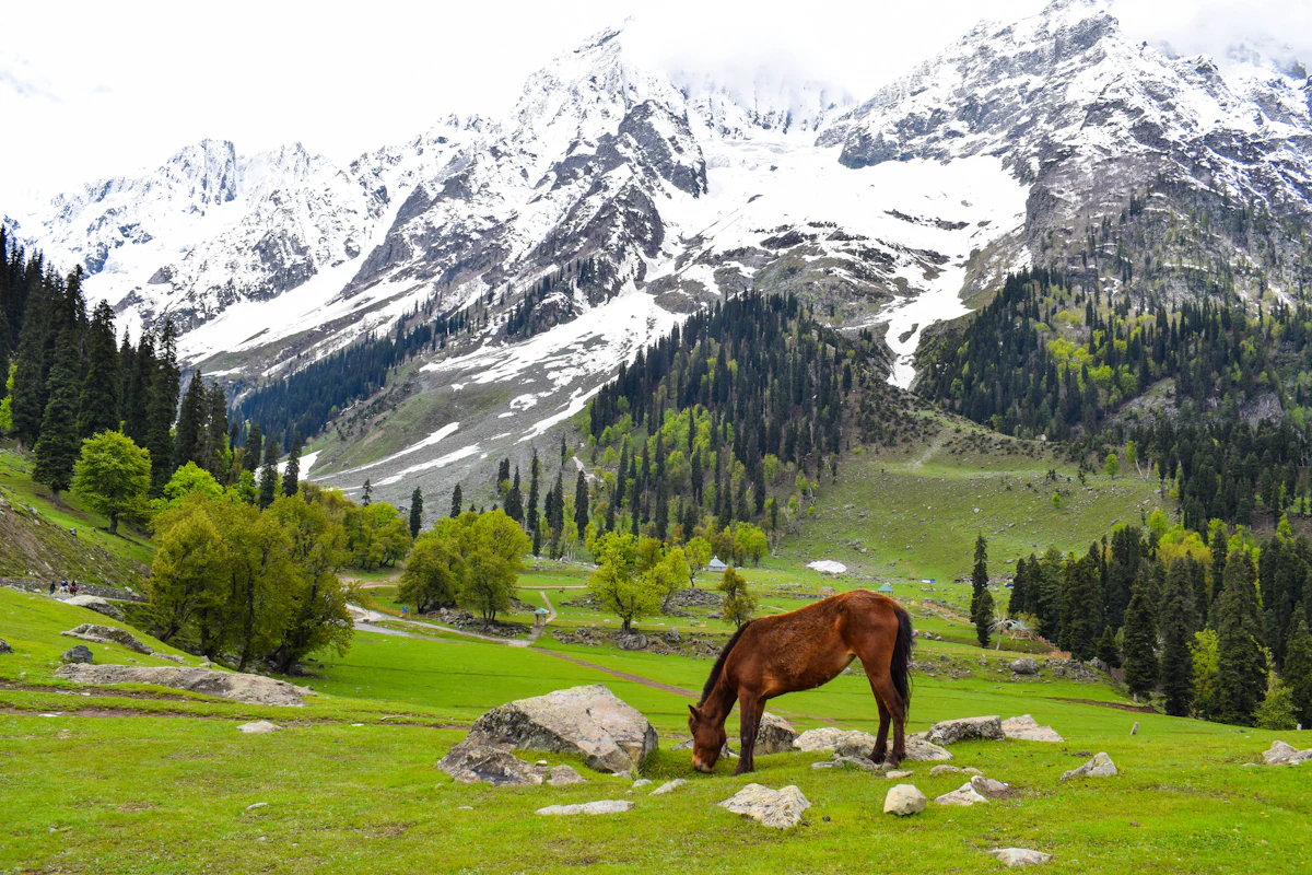 Srinagar, Pahalgam & Gulmarg Explorer